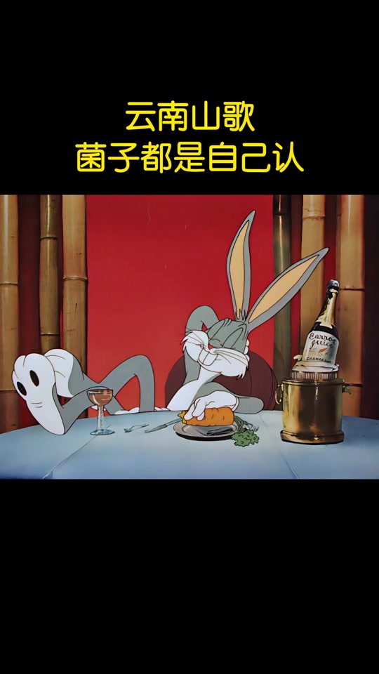 兔八哥大嘴怪云南方言版