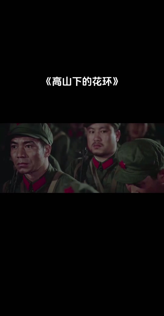 高山下的花环=高山下的花环简介