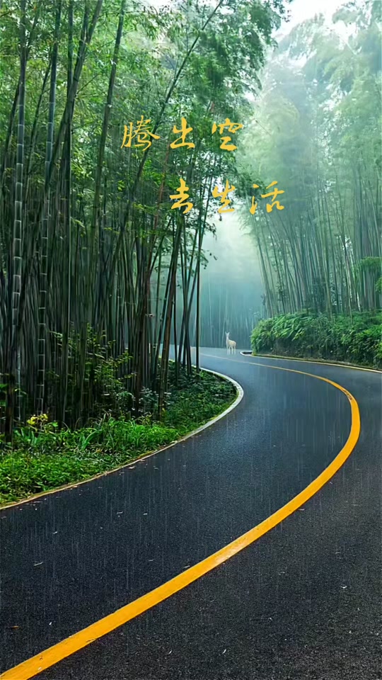 腾出空去生活电脑壁纸