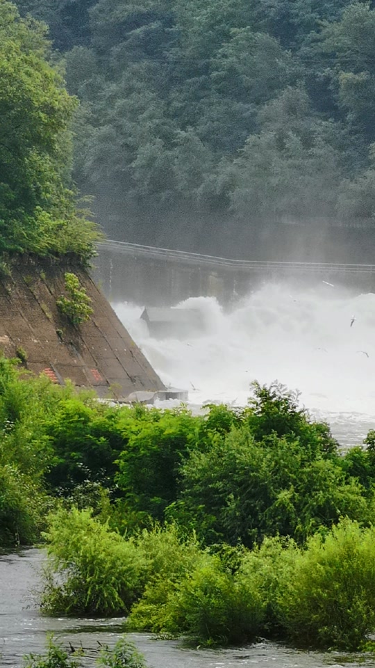 2024王快水库此次泄洪停止时间 - 抖音