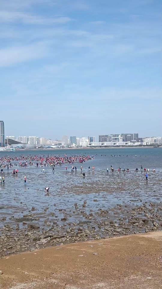 2024唐岛湾11月18号赶海时间 - 抖音