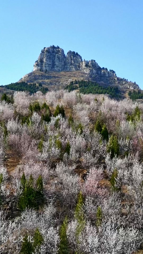 青州上稍村桃花山攻略