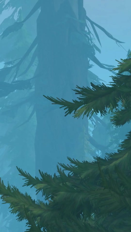 魔兽世界福星木龙怎么飞 - 抖音