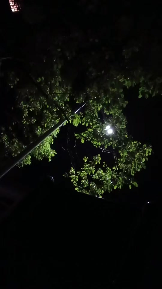 我们总是容易用一种自虐的方式制造出一种痴情的假象