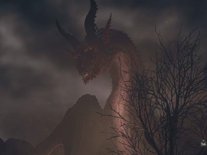 1650龙之信条2画面设置 - 抖音