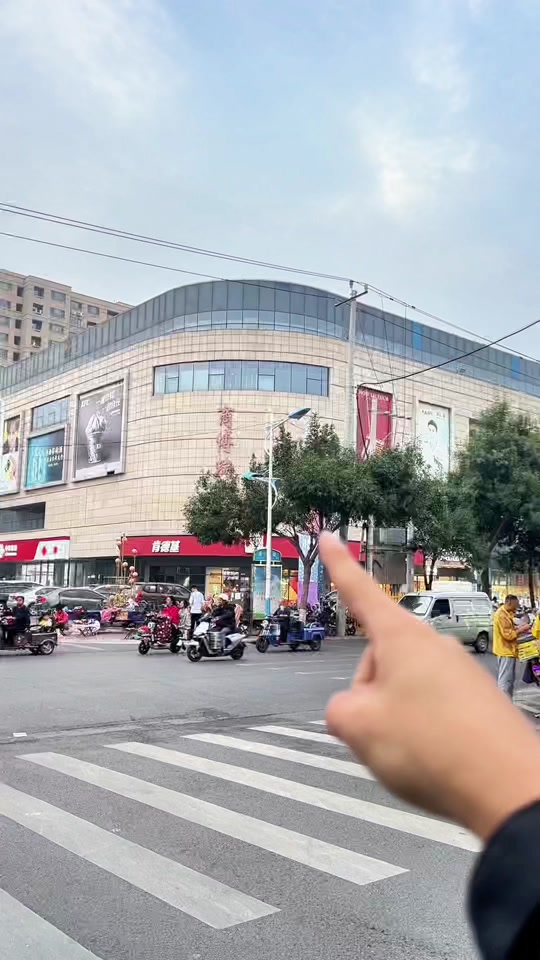 贵宠宠物店新风尚：满足您的毛孩子需求