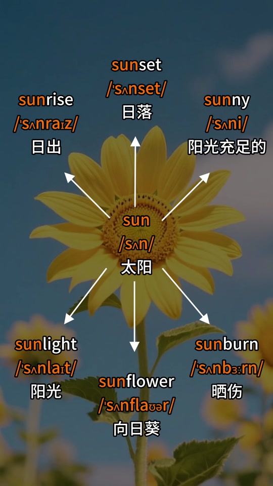 太阳的英语怎么读sunny