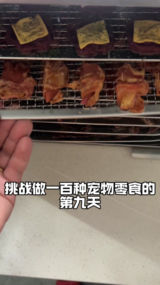 抖音吃狗零食=抖音吃狗零食是真的吗