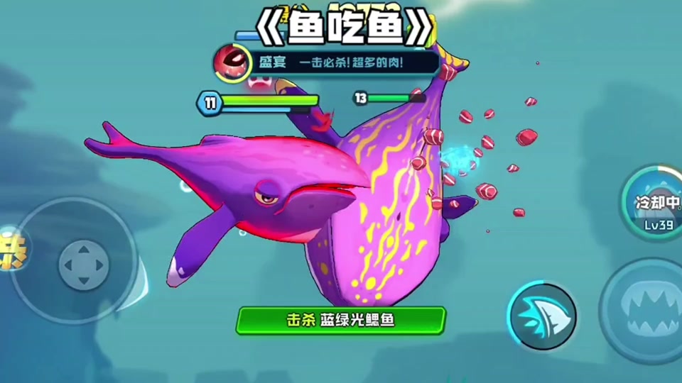 鱼吃鱼#大鱼吃小鱼 #海底大猎杀 第二海域的座头鲸卡珊瑚爆发!