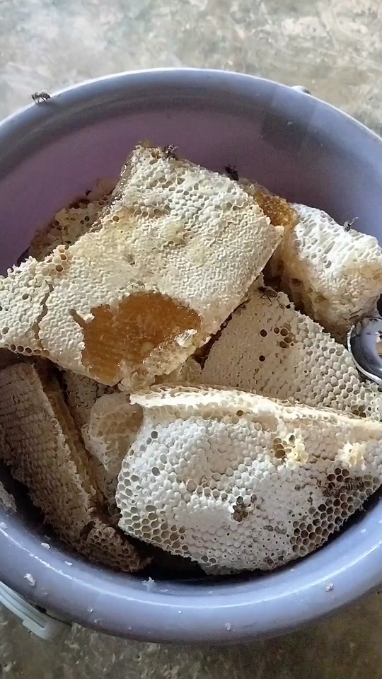 纯天然野生蜂蜜 咖啡花蜜 我们家的蜂蜜都是白天割晚上装好,现割现卖