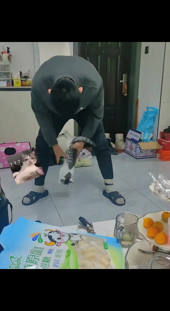 夜翼和骚猫被抓