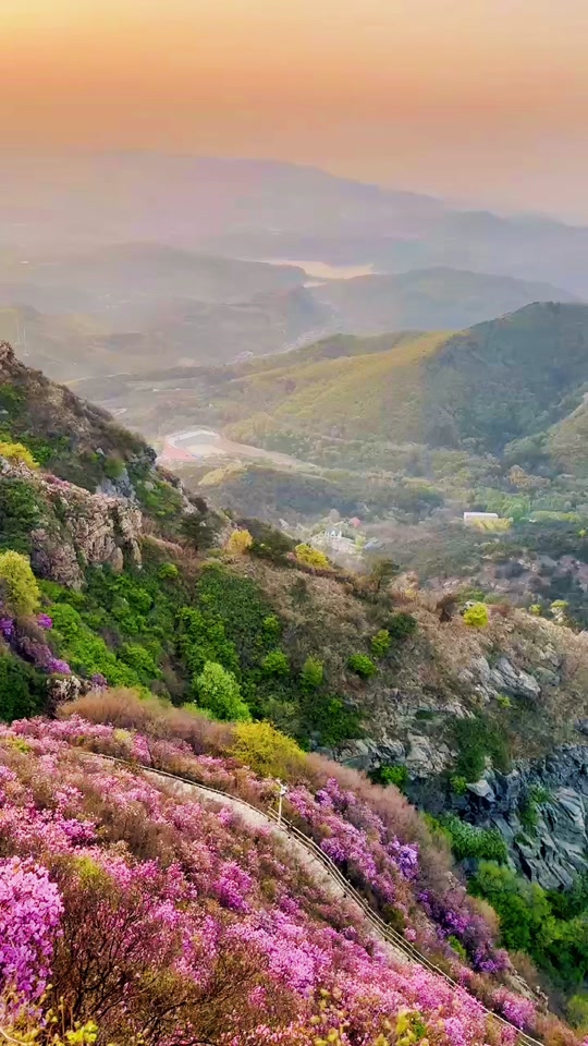 大黑山杜鹃花海5月12号还有吗 - 抖音