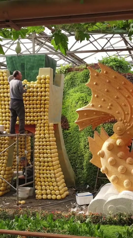 菜博会2024兰陵什么时候结束 - 抖音