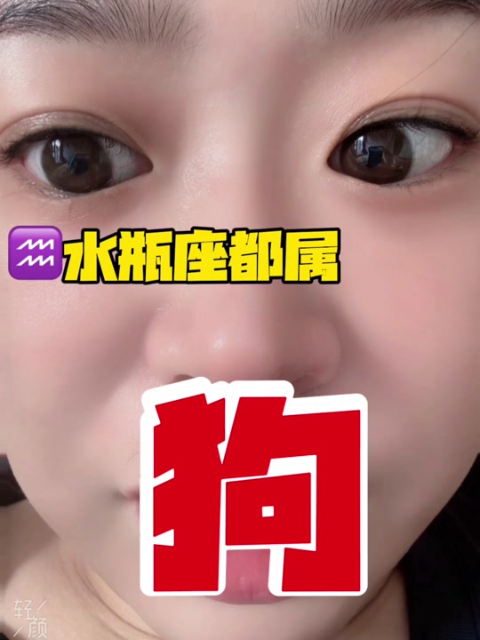 今日生肖狗水瓶座运势(水墨先生属狗今日运势)