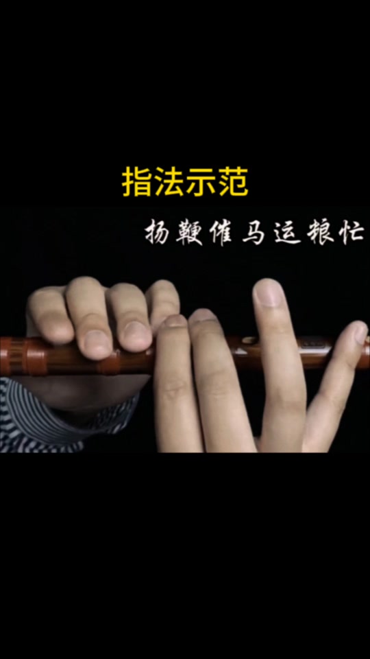 曾明扬鞭催马运粮忙笛子教学