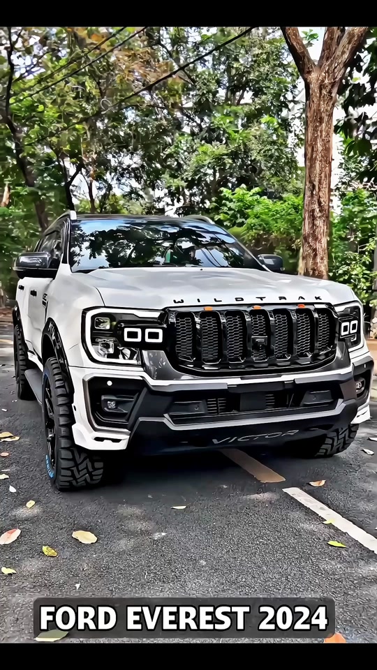 撼路者福特2024对比探陆 - 抖音