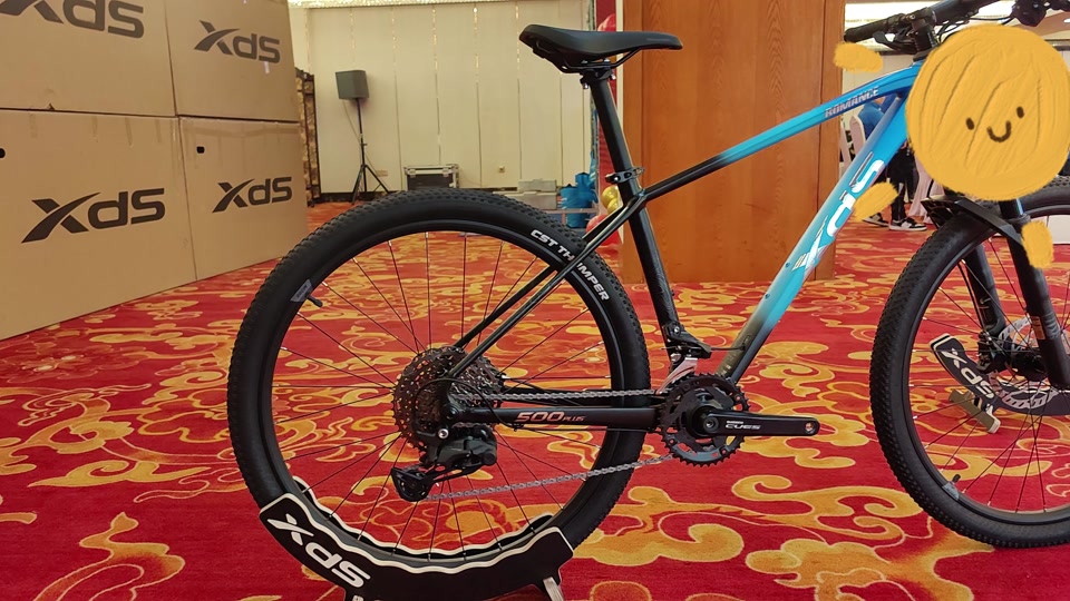 传奇500喜德盛165选多少寸 - 抖音