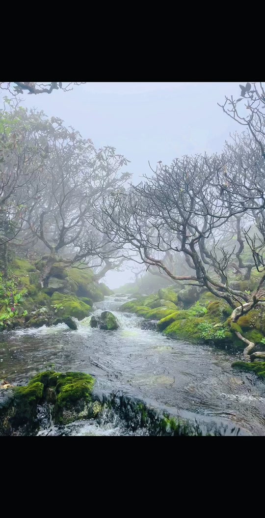 喜德小相岭游玩攻略 - 抖音