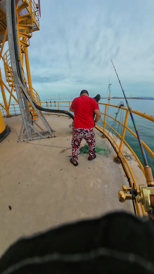 鹤针鱼是淡水还是海水