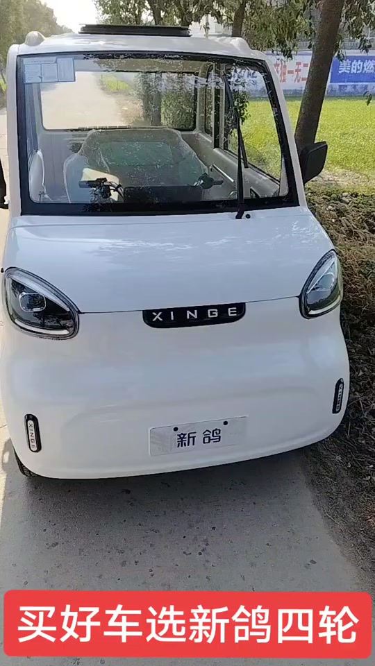 新鸽电轿车型