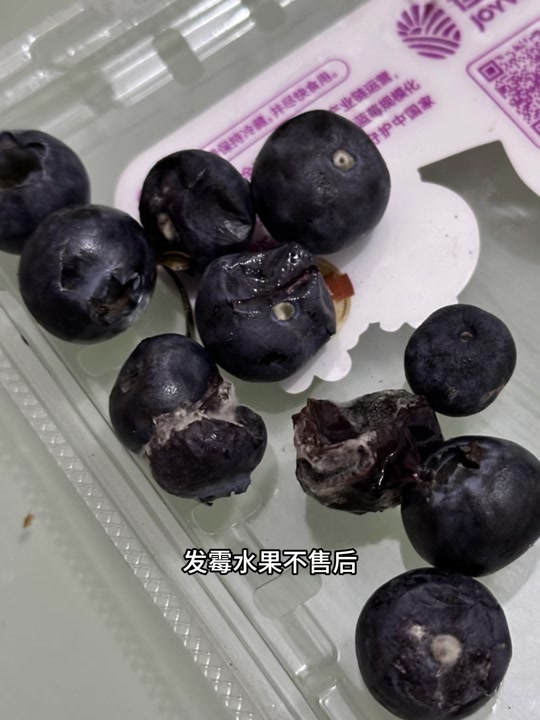 蓝莓长毛了一盒要扔掉吗