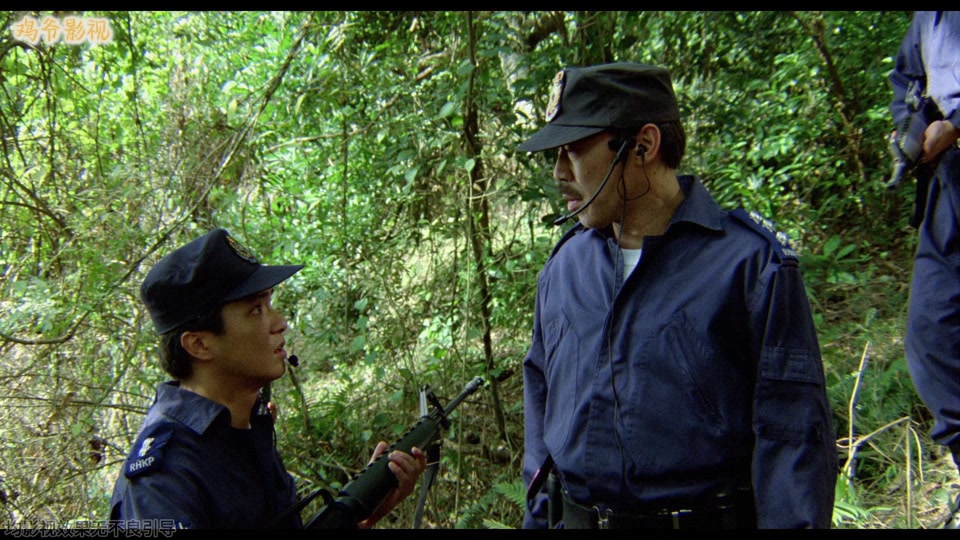 神勇飞虎霸王花 粤语