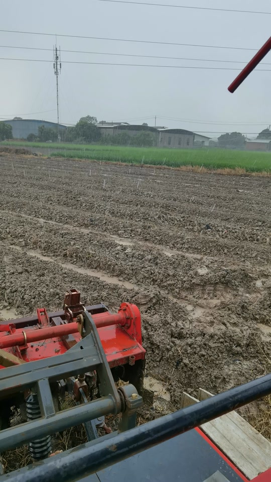 现代农业机械:青毛豆收割机现场采摘视频