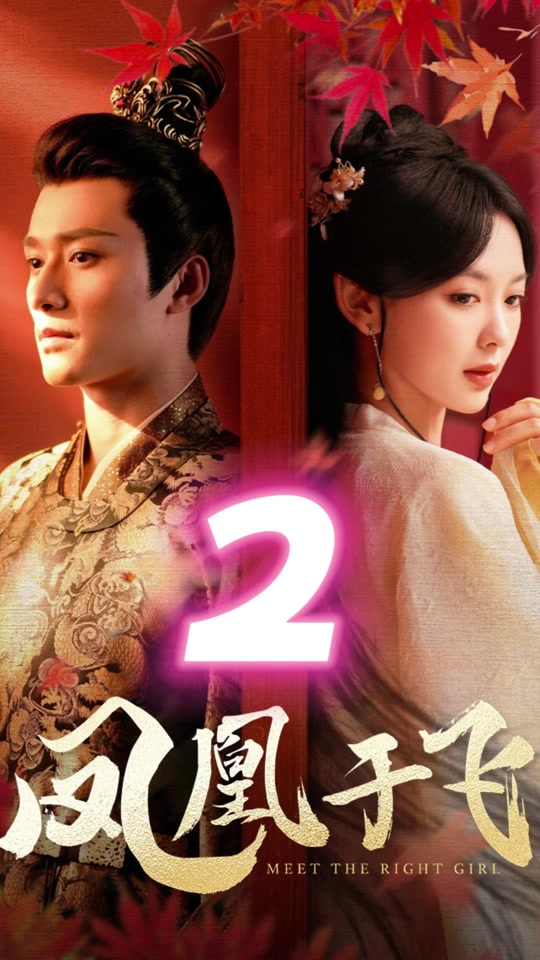 短剧凤凰于飞哪里追最便宜 - 抖音