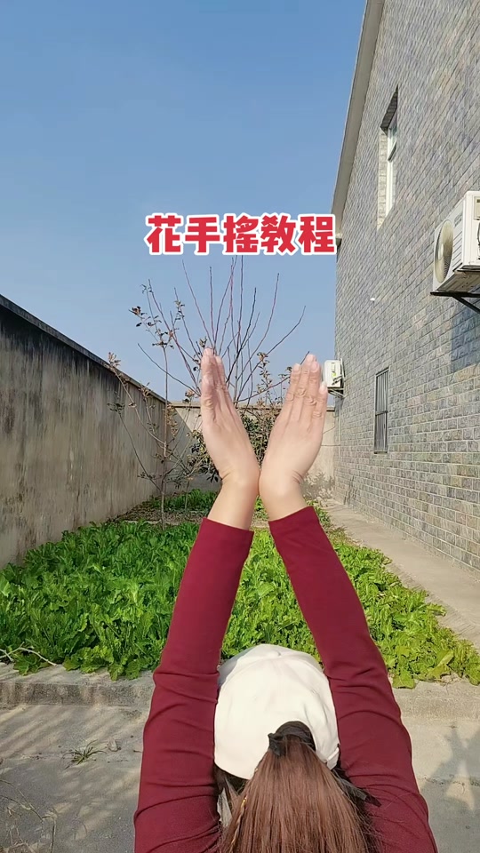 起风了花手摇教程