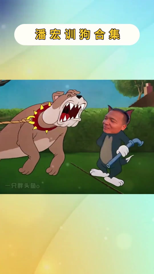 猫和老鼠里的伯恩山犬