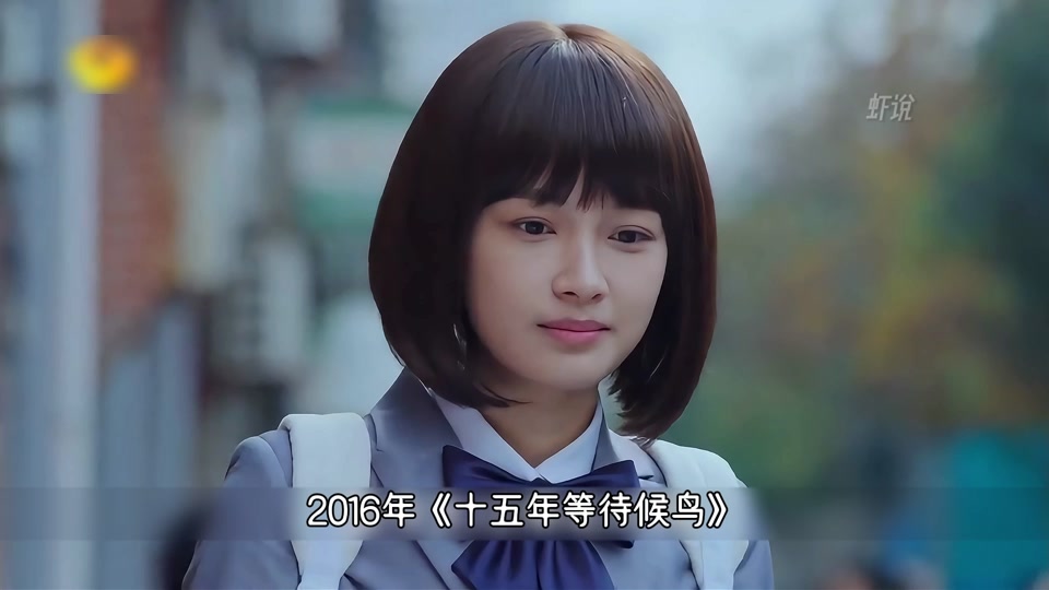 十五年等待候鸟黎璃视角