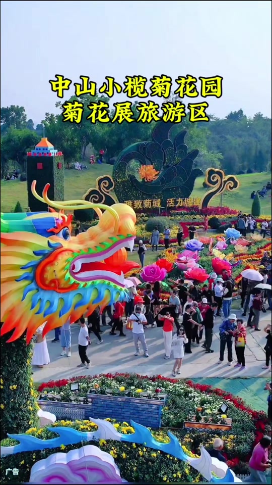 小榄镇菊花展2025什么时候 - 抖音