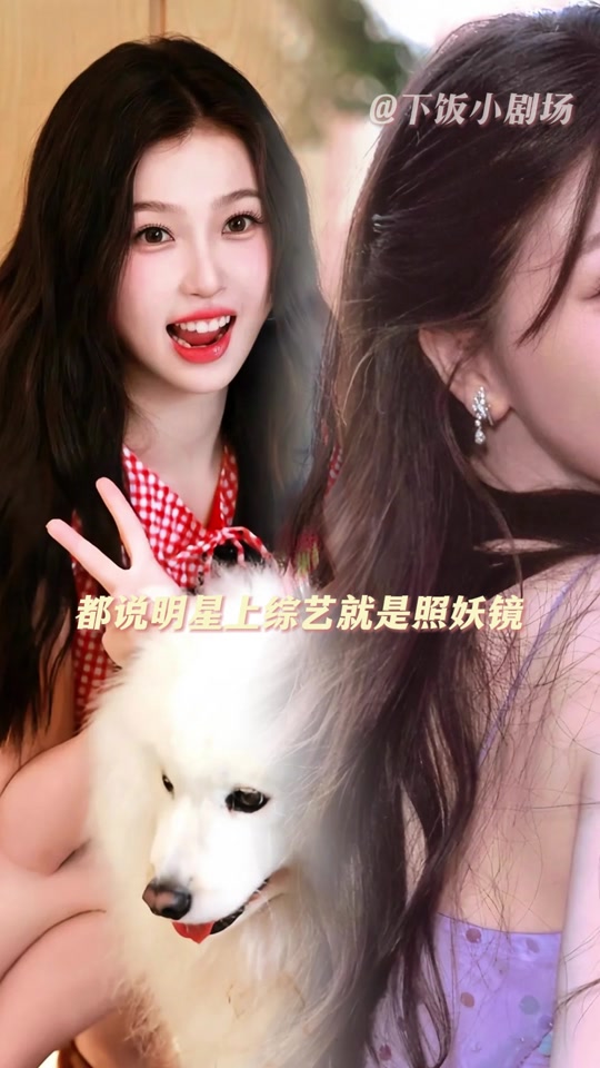 抖音明星简介=抖音明星列表