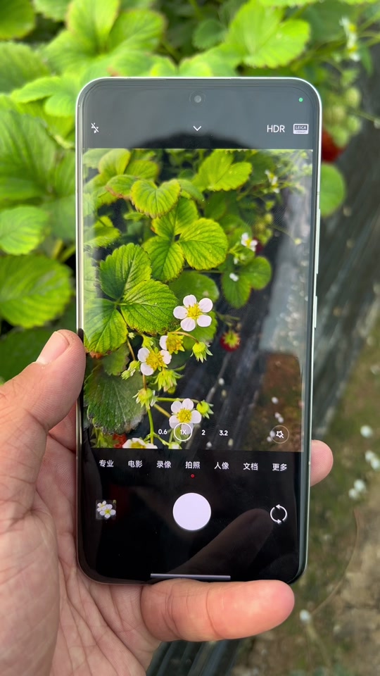 小米11和小米14pro微距对比 - 抖音