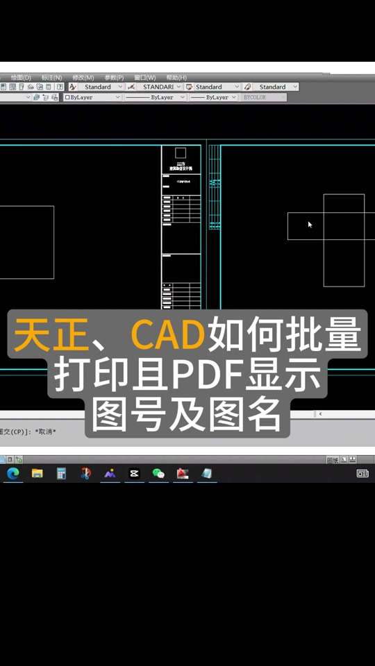 cad批量打印亮显不全设置 - 抖音