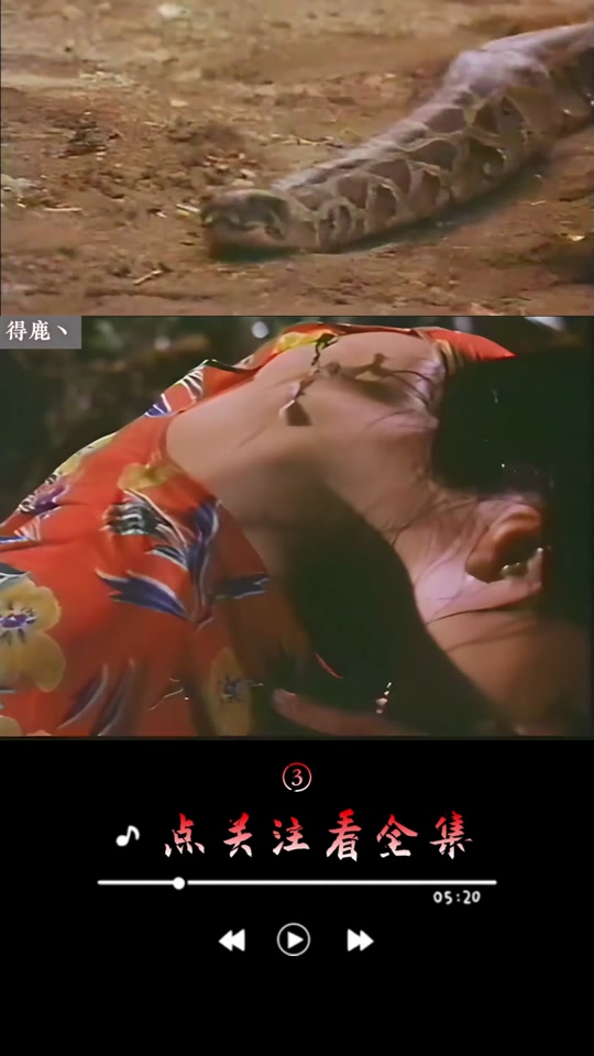 《人蛇大战之蛇魔女》_《人蛇大战3》