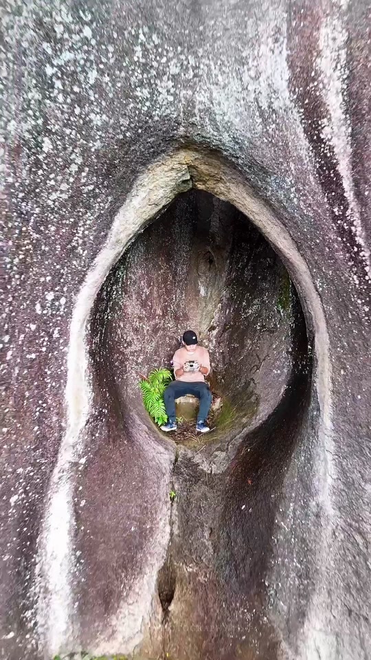 好看的生命之门