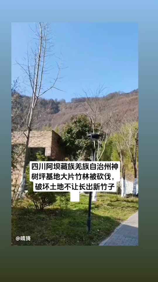 乡村国宝在哪看30小时