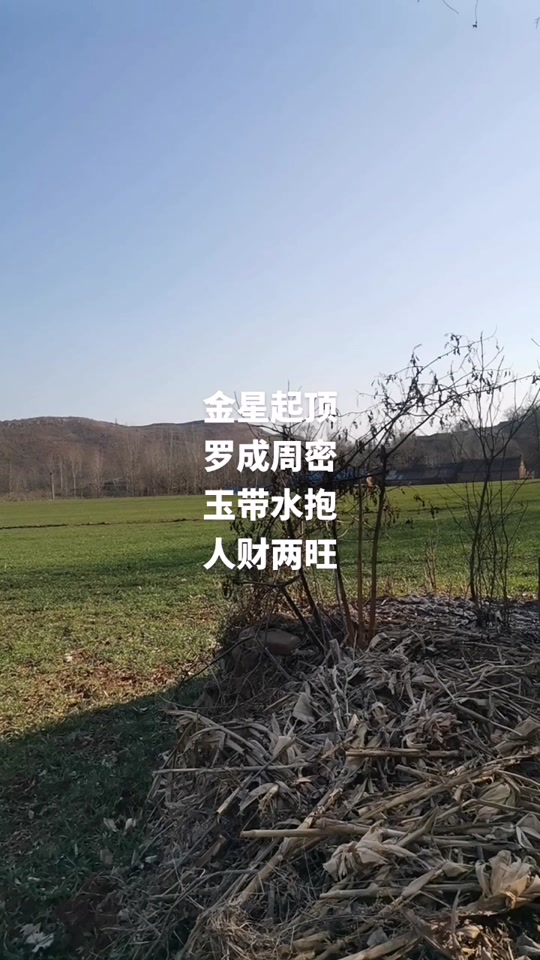 金星刑天顶对外貌的影响 - 抖音