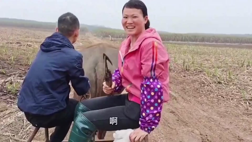 阿军从认识丽丽到现在吃了很多苦,贫穷夫妻百事哀,样样都难 #农村日常