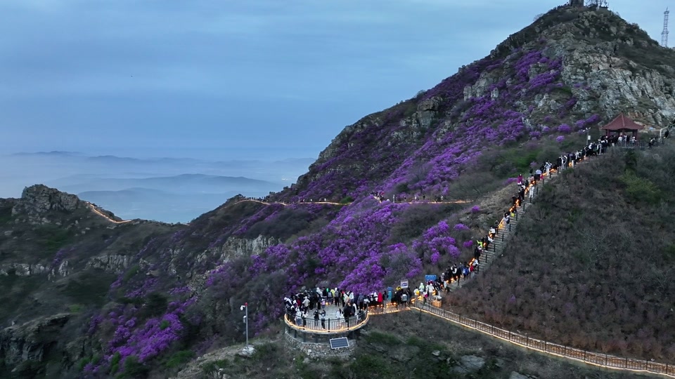 大黑山杜鹃花海5月12号还有吗 - 抖音