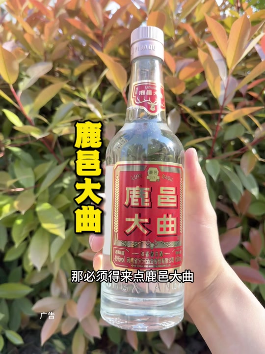 鹿邑大曲55周年纪念酒啥味的 - 抖音