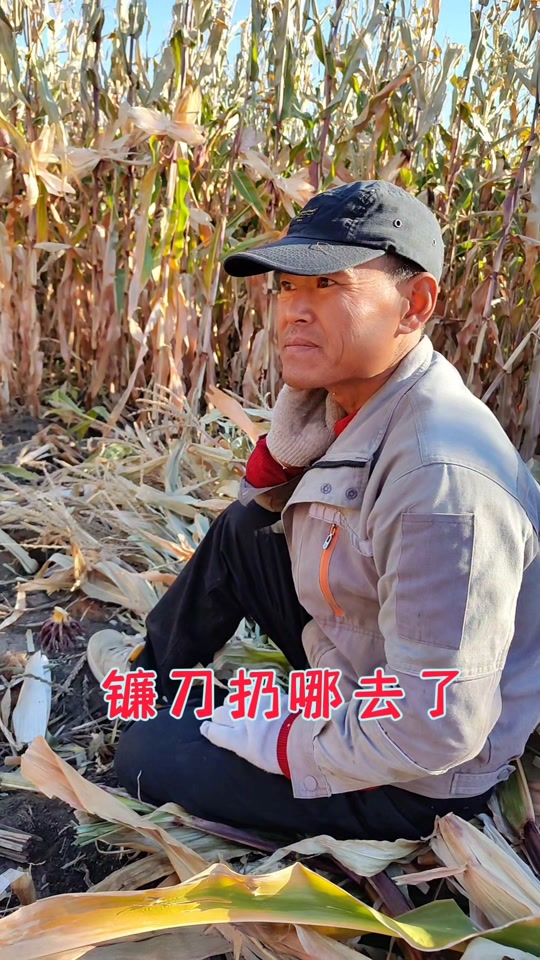 游戏小生活镰刀没了怎么获取 - 抖音
