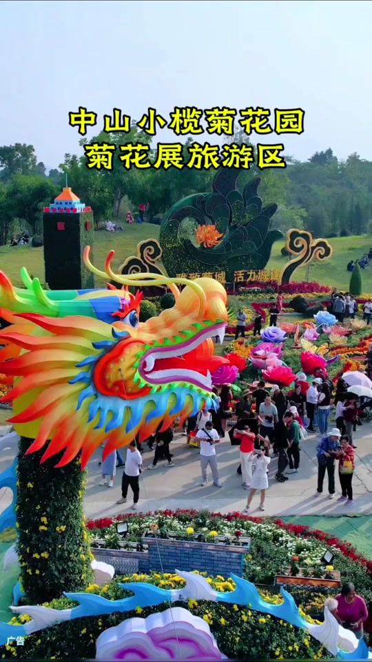 福州2024年小榄菊花展举办时间 - 抖音