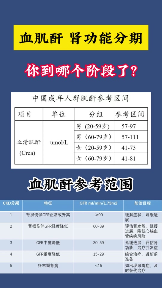 尿蛋白尿肌酐的比值正常值是多少