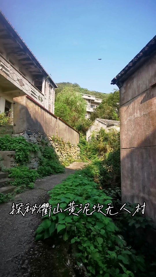 舟山衢山岛无人村