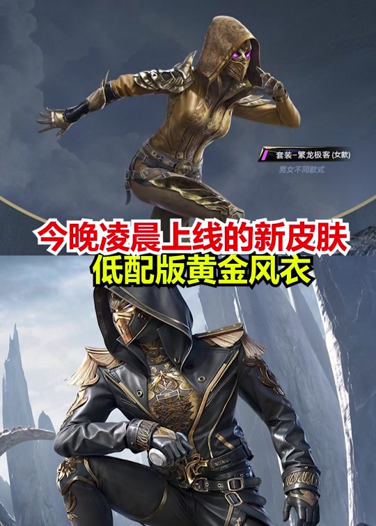 繁龙极客和黄金风衣对比 - 抖音
