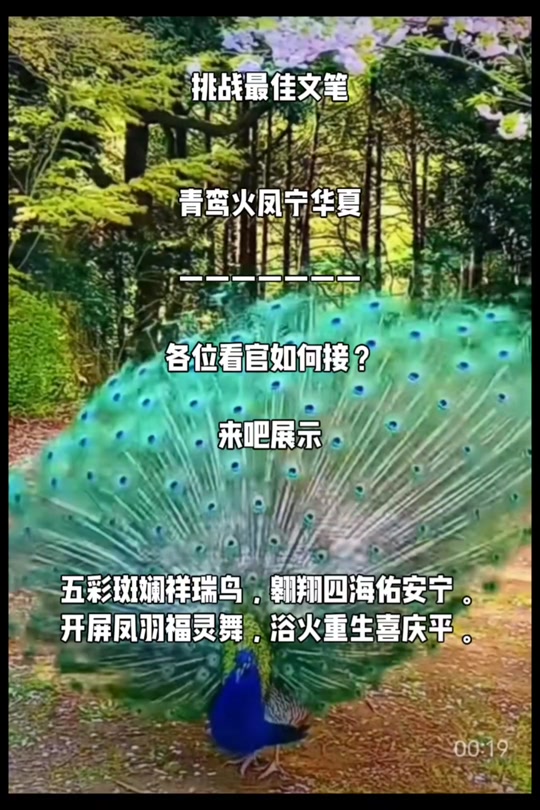 文字挑战#.青鸾火凤宁华夏. 各位看官如何接?战吧!来吧展示!