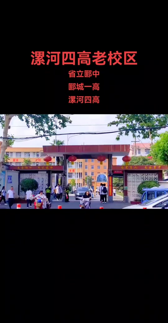漯河四高校花