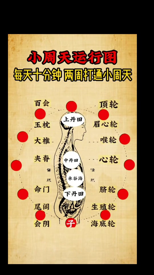小周天运行图动态循环